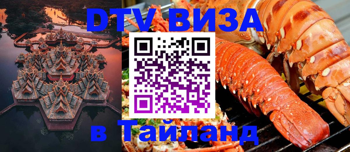 Оформление DTV визы под ключ: стоимость и тарифы, только загранпаспорт - 